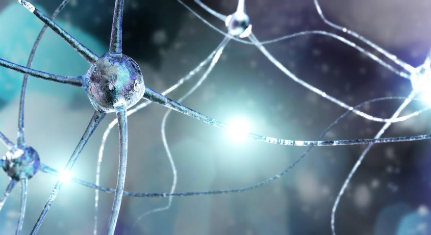 Illustration of a human neural network.