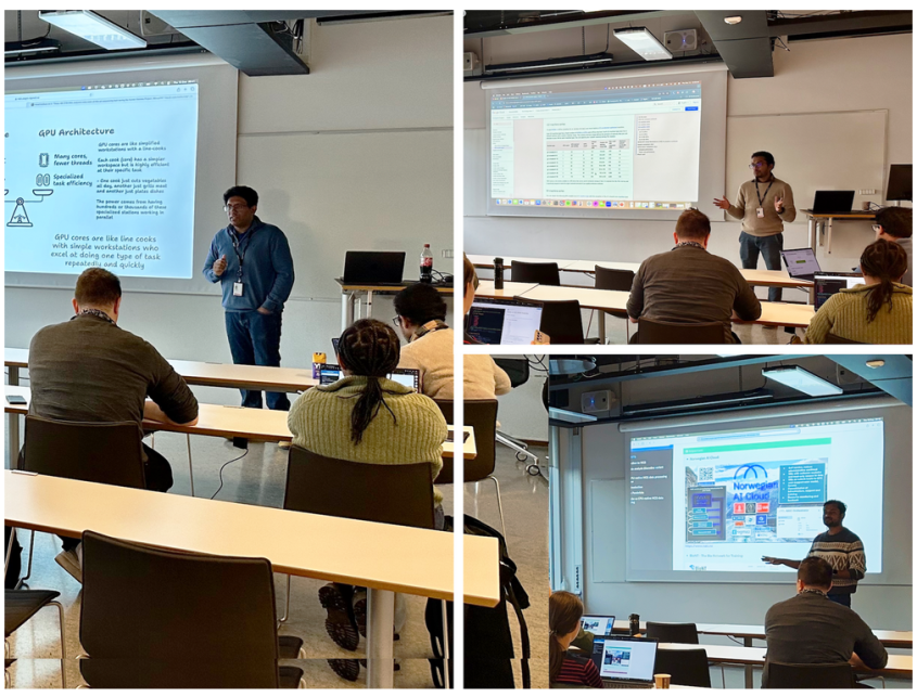 A collage of images from conducted training within the NAIC collaboration.