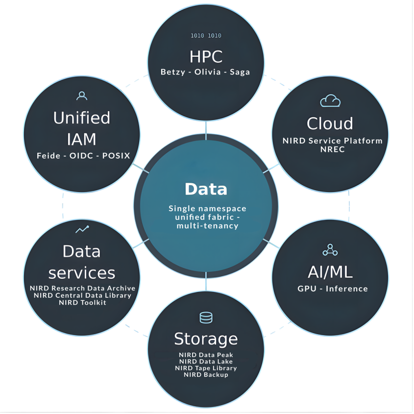 Illustration of the Data Centric Model