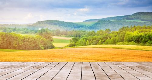 Scienic view of fields, forests and mountains.