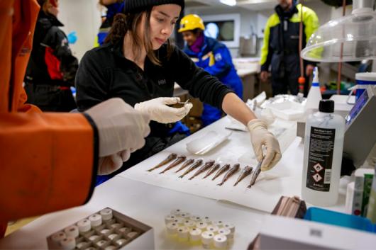 Researchers sorting samples in a lab. 
