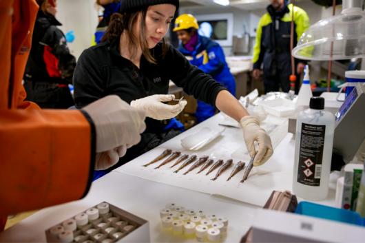 Researchers sorting samples in a lab.
