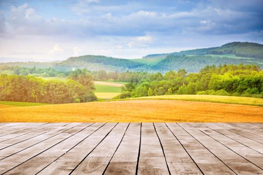 Scenic view over fields and wood.