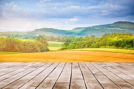 Scenic view over fields and wood. 