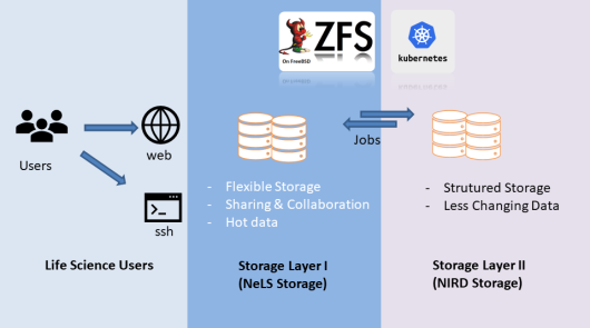 Illustration of the NeLS architecture. 