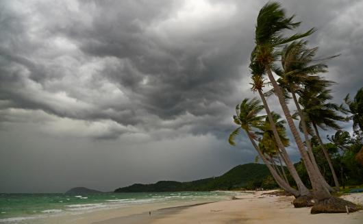 Stor clouds rolling in over a palmy beach.
