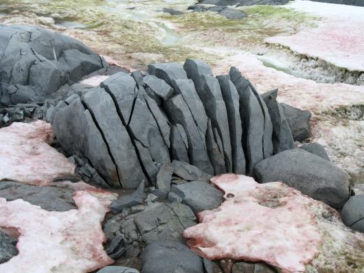 A large rock is cracked due to ice.
