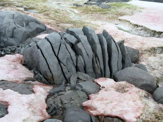 A large rock is cracked due to ice. 