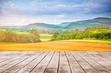 Scenic view over fields and wood. 