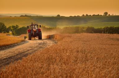 A red tractor driving in an agricultural landscape. 
