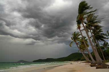 Stor clouds rolling in over a palmy beach. 