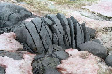 A large rock is cracked due to ice. 